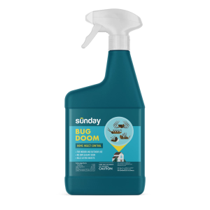 Bug Doom Indoor Insect Control Spray