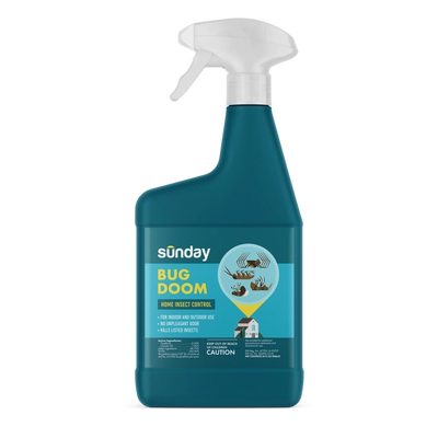 Bug Doom Indoor Insect Control Spray