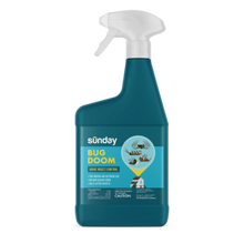 Bug Doom Indoor Insect Control Spray, 32 oz