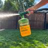 Sunday rigid fertilizer applied to a green lush lawn