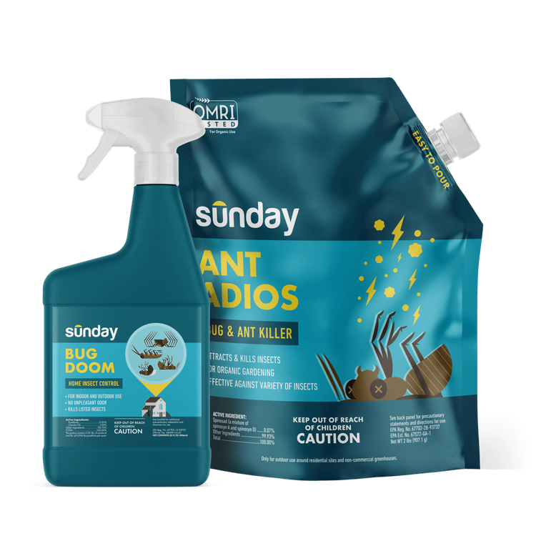 Ant Adios Insect & Ant Killer, Bug Doom Indoor Insect Spray, and Trigger Sprayer