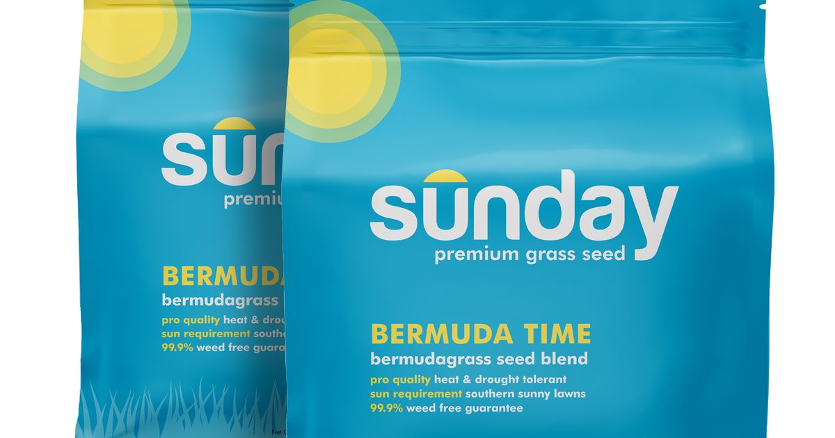 Bermuda Time Grass Seed (2pack) Sunday Lawn Care