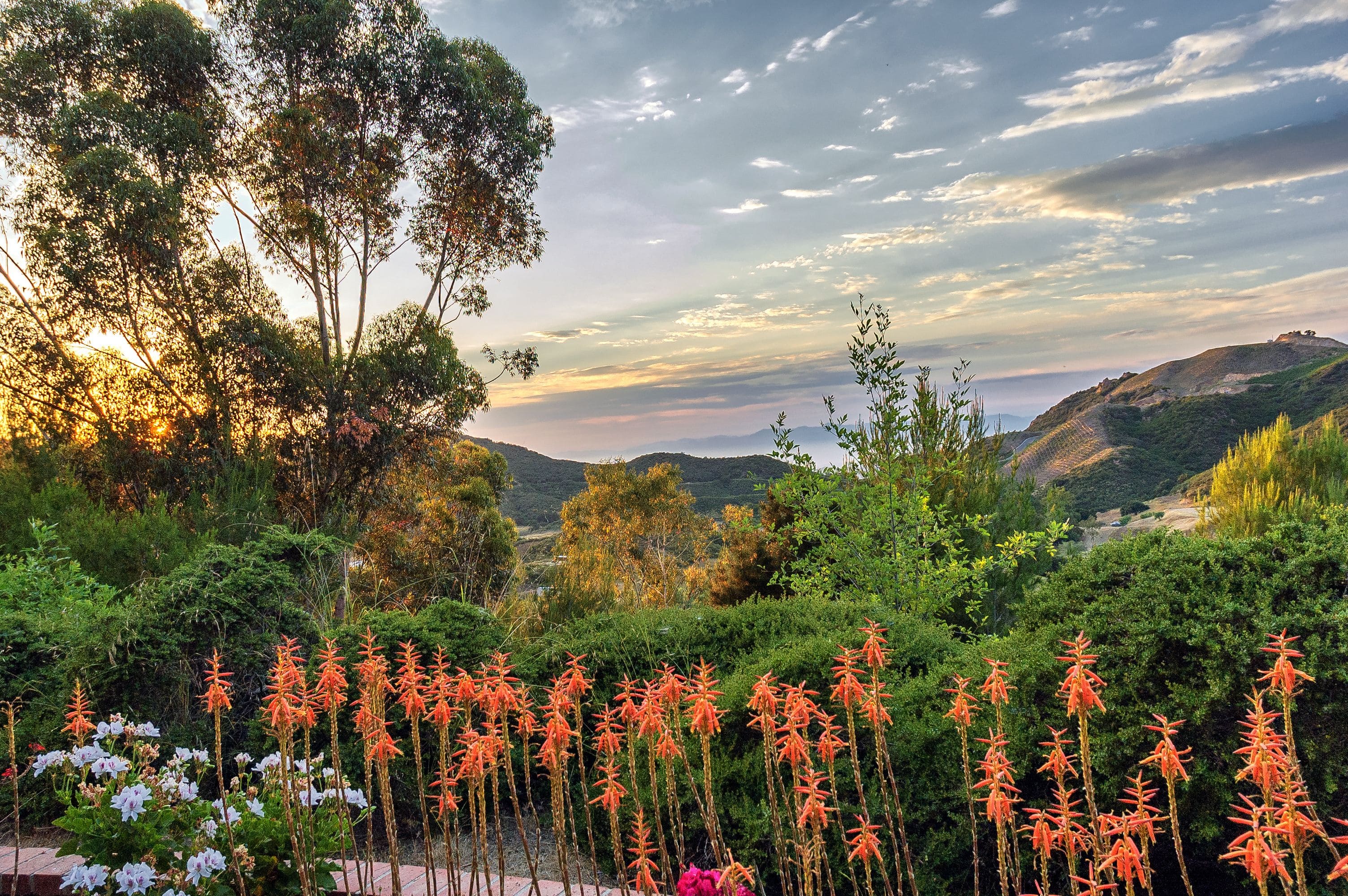 A beautiful garden in the west