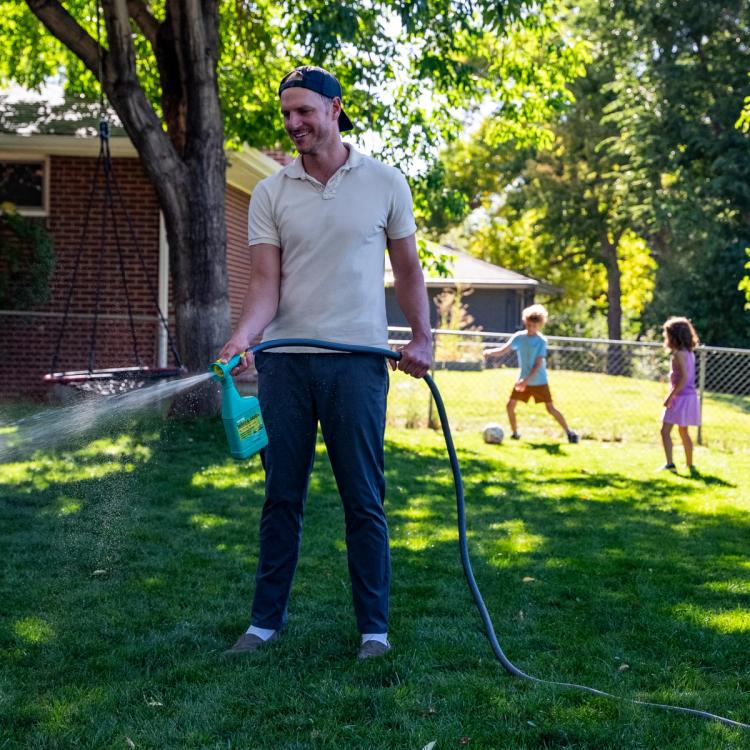 Image of a man spraying Weed & Green