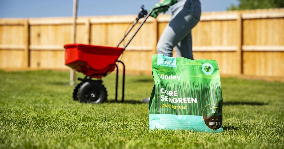 Sunday Liquid vs. Granular Fertilizer Sunday Lawn Care
