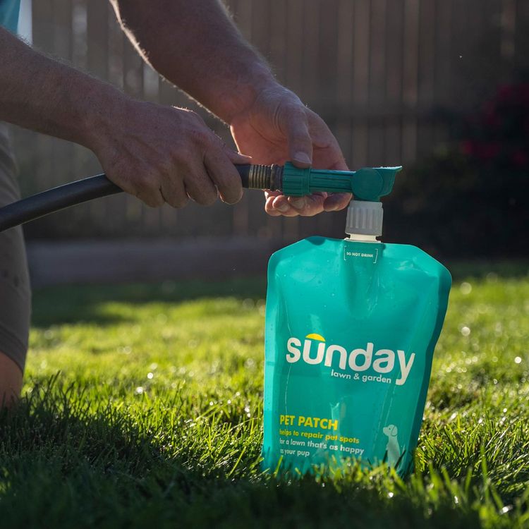 Attaching hose end sprayer to Pet Patch liquid fertilizer