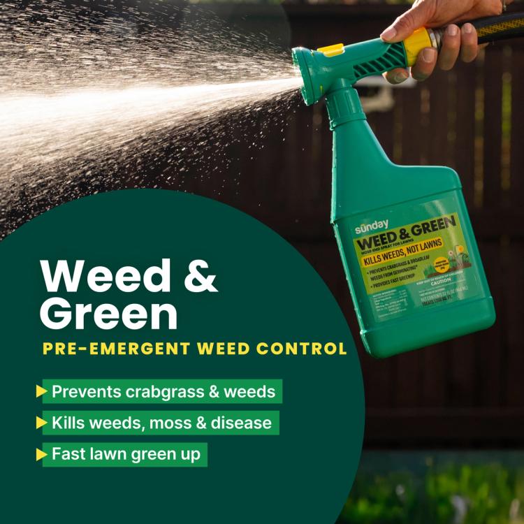 How to Control Dandelions With Post-Emergent Weed Killer Effectively