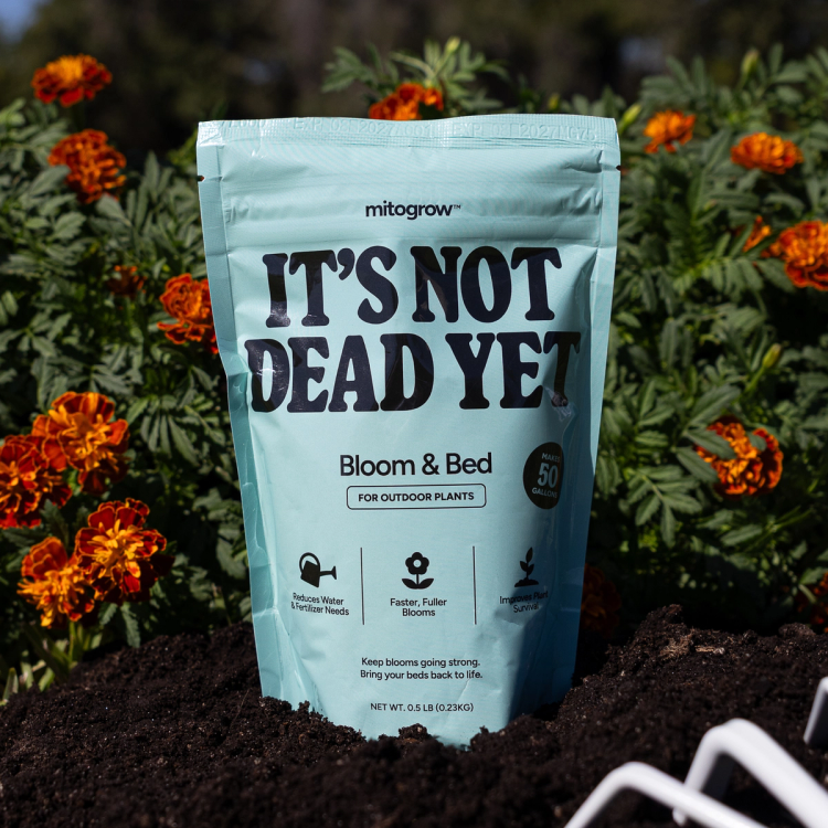 MitoGrow Bloom & Bed bag in front of flowers