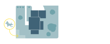 Train your pet to go in specific spots