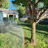 Sunday lawn products on green grass