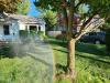 Sunday lawn products on green grass