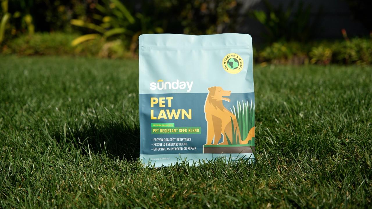 Pet Lawn Grass Seed (2pack) Sunday Lawn Care