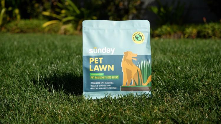 Dog-Resistant Grass Seed Pet Lawn