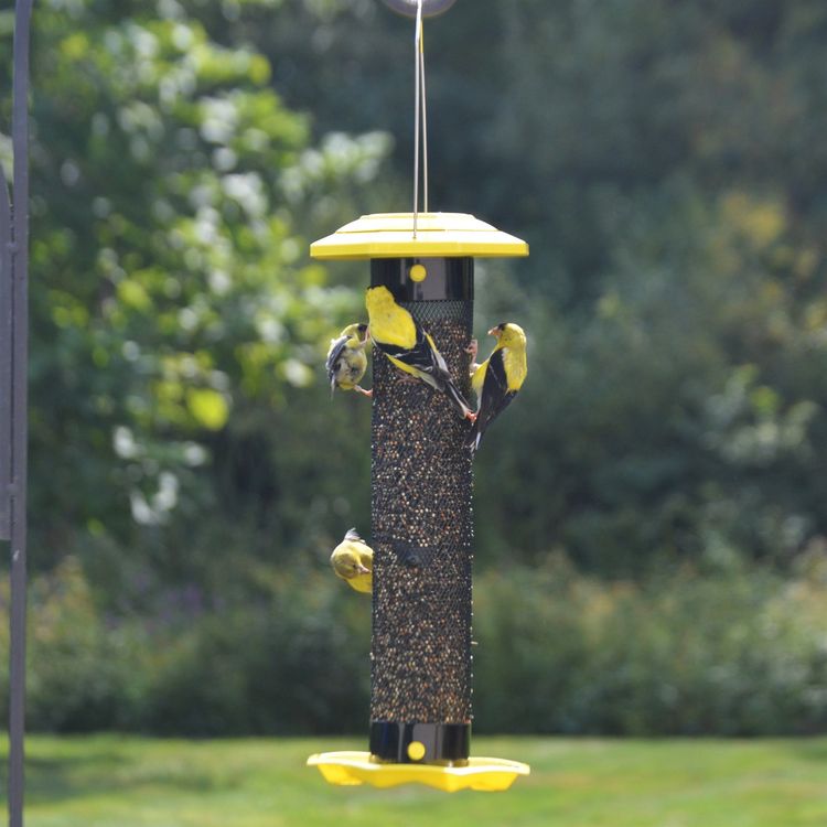 Funnel Flip-Top Mesh Finch Feeder