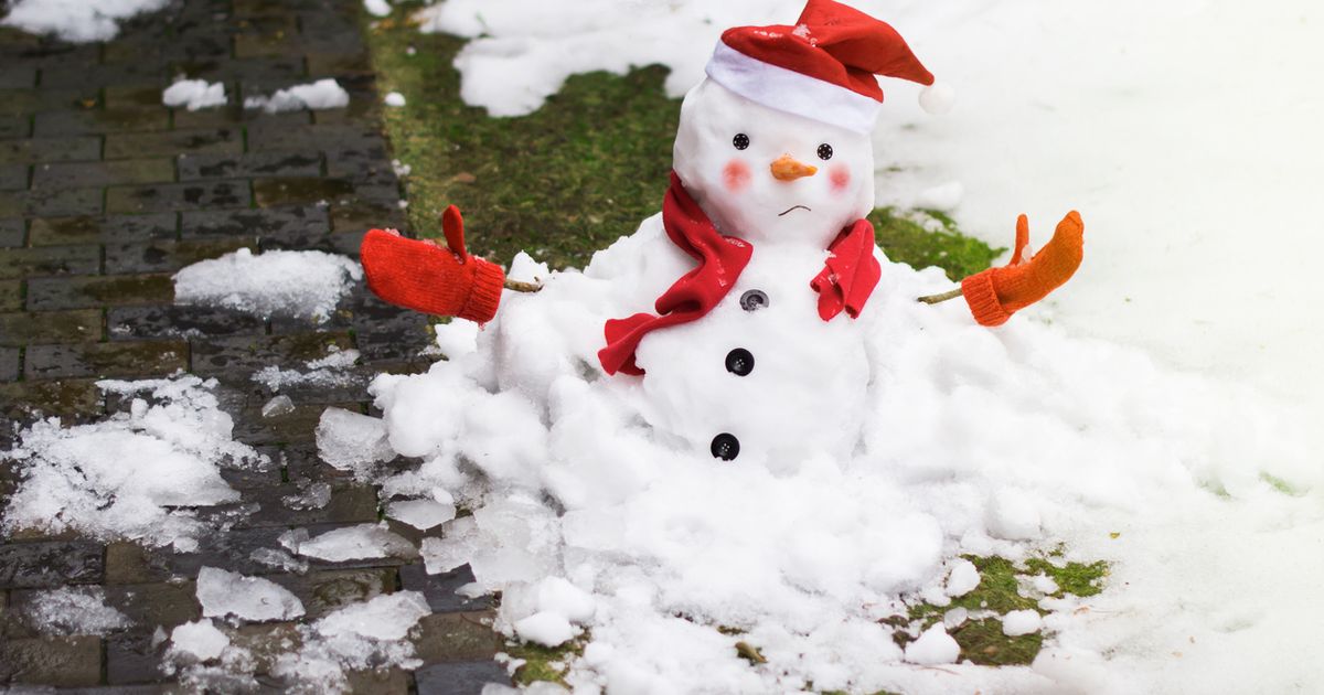 Repairing Winter Lawn Damage Sunday Lawn Care