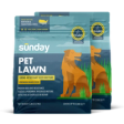 Two bags of Sunday Pet Lawn Grass Seed for urine-resistant lawn repair and overseeding
