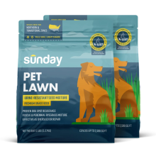Pet Lawn Grass Seed (2-pack)