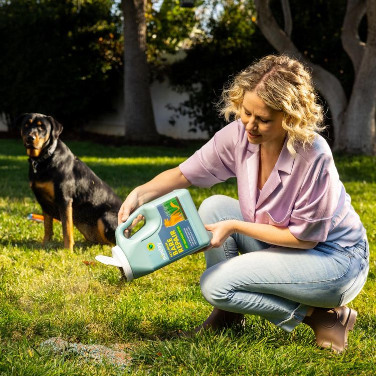 Woman applying Pet Bare Repair to a dog urine spot in the lawn with a dog in the background