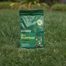 All Purpose Plant Food image