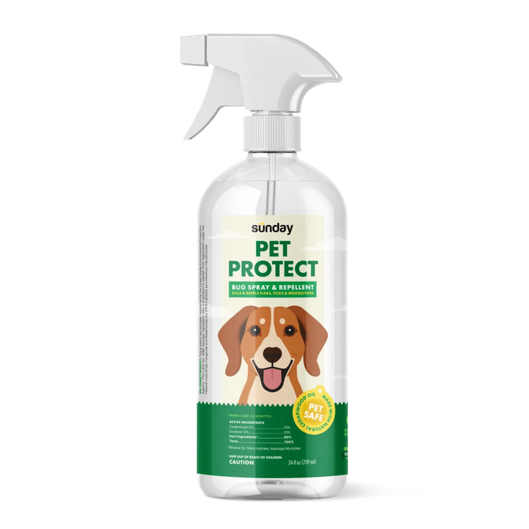 Pet Protect Bug Spray &amp; Repellent | Sunday Lawn Care