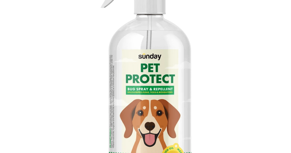 Pet Protect Bug Spray &amp; Repellent | Sunday Lawn Care