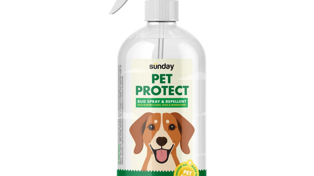 Pet friendly yard bug spray hot sale