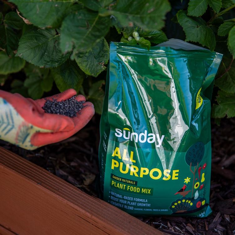 All-Purpose Plant Food Mix
