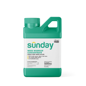 Weed Warrior weed control concentrate 27 oz