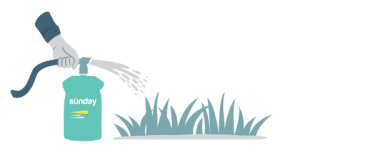 Apply Sunday Pet Patch to lawn