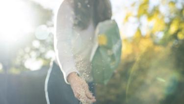 Woman seeding the lawn in spring
