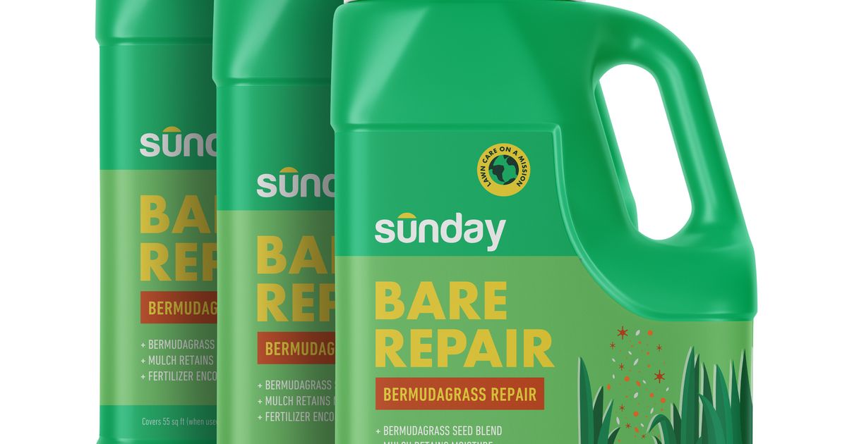 Sunday Lawn Care sunday-lawn-care