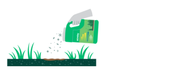 Apply Sunday Bare Repair