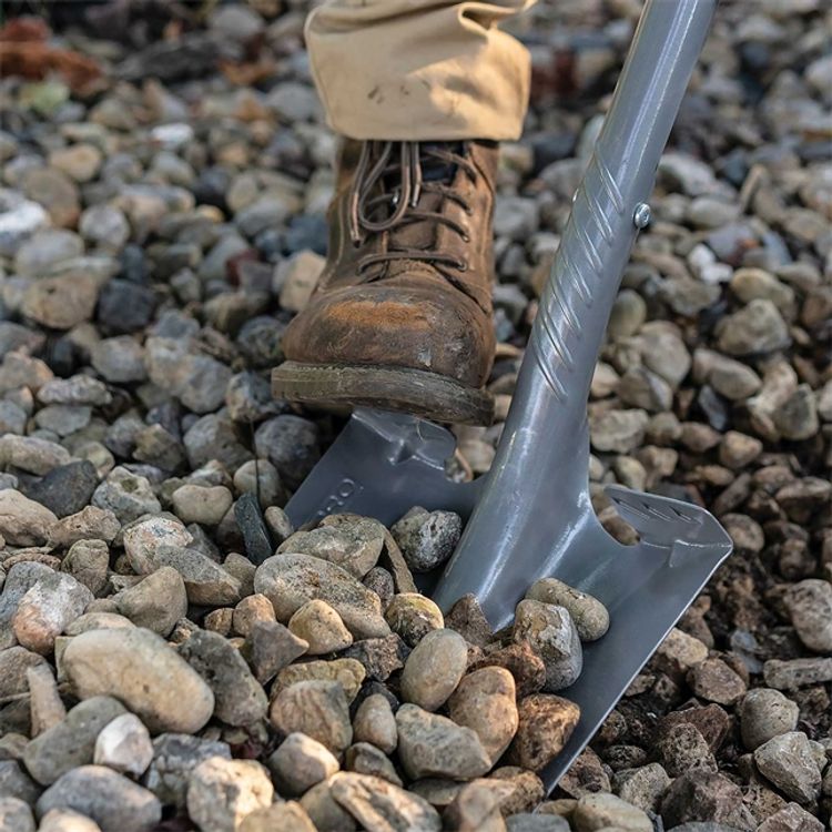 Pro D-handled Transfer Shovel