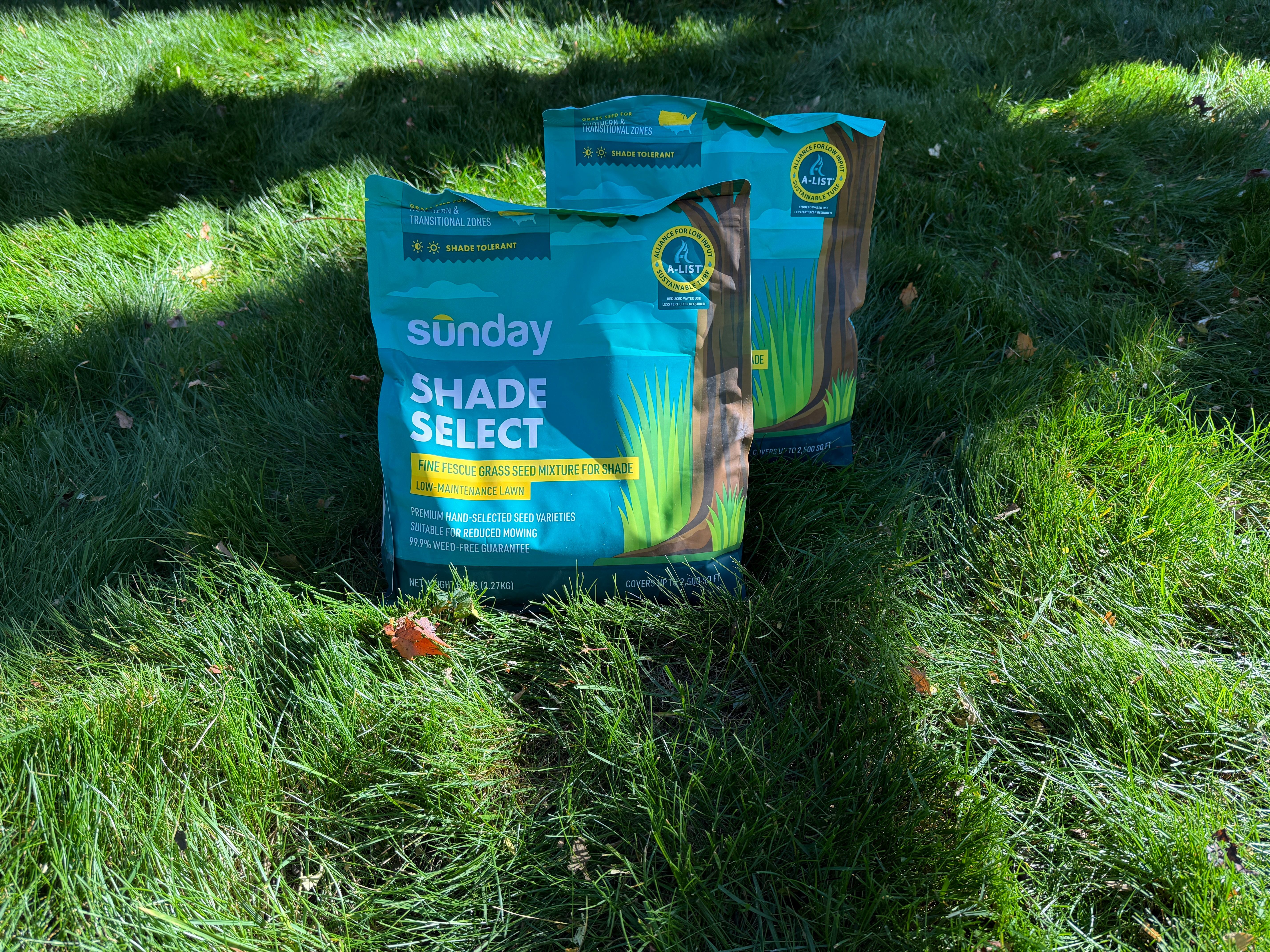 Two bags of Sunday's Shade Select fine fescue grass seed on fescue lawn.