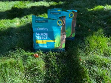 Two bags of Sunday's Shade Select fine fescue grass seed on Maggie Reiter fescue lawn.