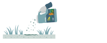 Apply Sunday Pet Lawn Bare Repair