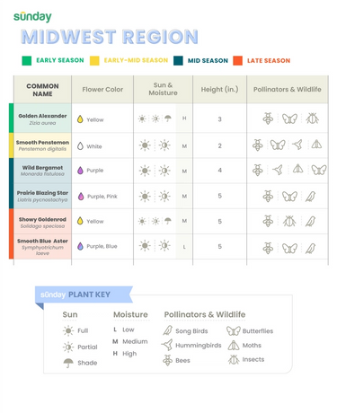 bird and pollinator friendly plant chart for the midwest