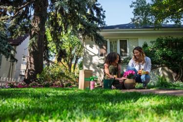 Sunday lawn plan customers using other Sunday products in garden