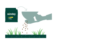 Graphic showing applying Sunday grass seed to a hand spreader