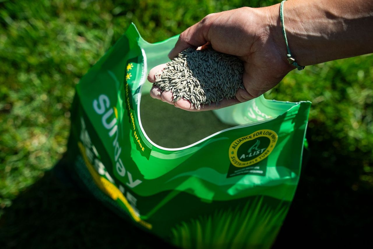 Turf Rescue Fescue Rescue Grass Seed | Sunday Lawn Care | Sunday Lawn Care