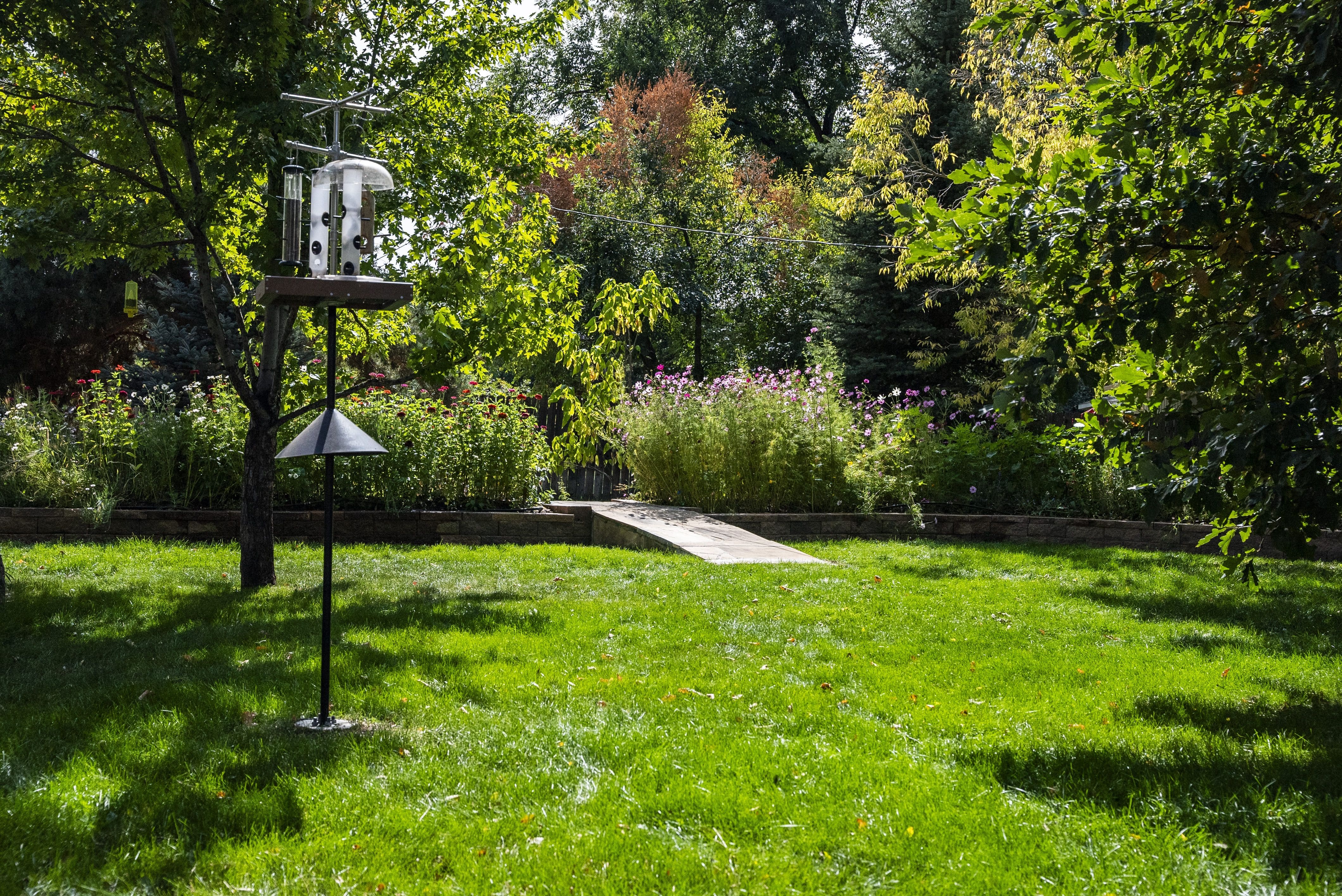 Sunny backyard with a bird feeder on a pole, green grass, and garden beds for pollinators.