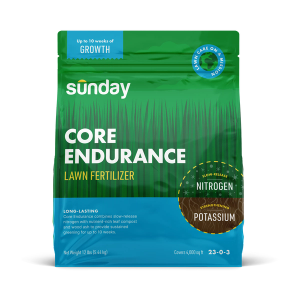 Core Endurance Granular Lawn Fertilizer