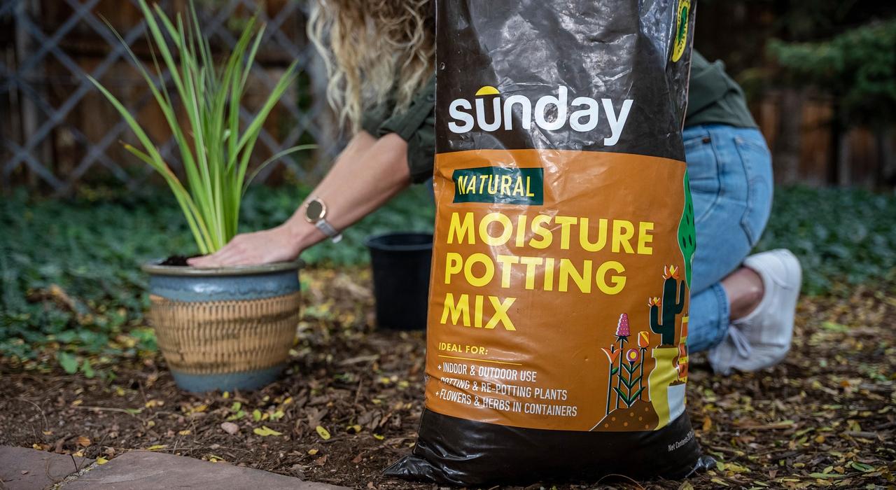 Sunday Natural Moisture Potting Mix