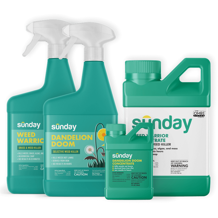 Sunday Ultimate Weeding Kit includes: Dandelion Doom Herbicide Concentrate Refill, Weed Warrior Herbicide Concentrate Refill , Sunday Herbicide Pouch, Wand Sprayer, Weed Warrior Herbicide Spot Treatment, Dandelion Doom 32oz capped, and Trigger Sprayer