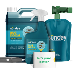 Lawn & Home Insect Control Pest Kit includes: Bug Doom Indoor Insect Spray, Motorized Wand Sprayer, Bug Doom Home Barrior Spray, NEW Replacement Sprayer, and Lawn Vitality