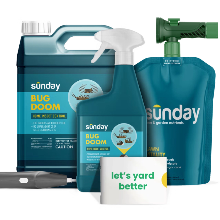 Lawn & Home Insect Control Pest Kit includes: Bug Doom Indoor Insect Spray, Motorized Wand Sprayer, Bug Doom Home Barrior Spray, NEW Replacement Sprayer, and Lawn Vitality