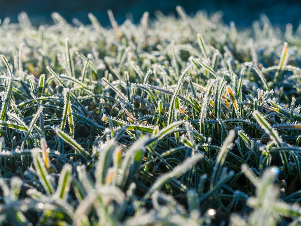 How To Prepare Your Yard for Winter | Sunday Lawn Care How To Prepare Your Yard for Winter | Sunday Lawn Care