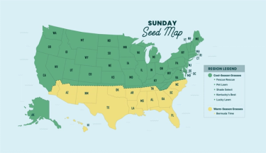 Sunday Seed Map of the US showing northern cool-season and southern warm-season grass regions by state.
