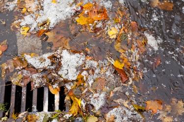wet leaves causing water pollution