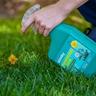 Sunday Dandelion Doom Ready-to-use herbicide application to dandelion